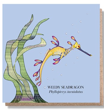 Weedy Seadragon Greeting Card Image