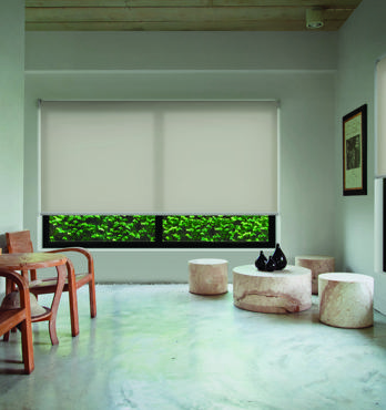 Translucent Roller Blinds Image