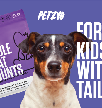 Kibble That Counts Image