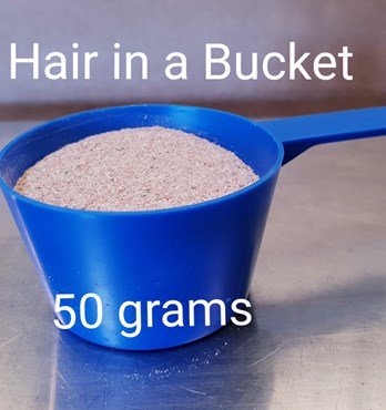 Hair in a Bucket Image