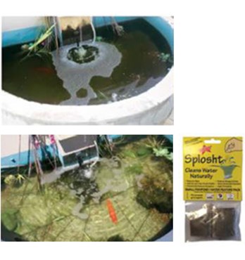 Splosht Small fishpond/Water feature pack Image