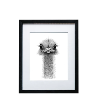 Art Prints Image