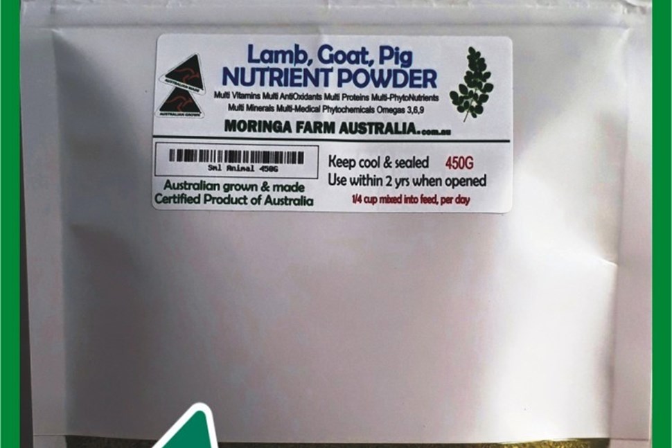 Moringa Horse Nutrient Pellets