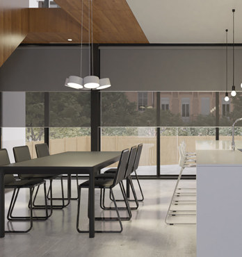 Sunscreen Roller Blinds Image