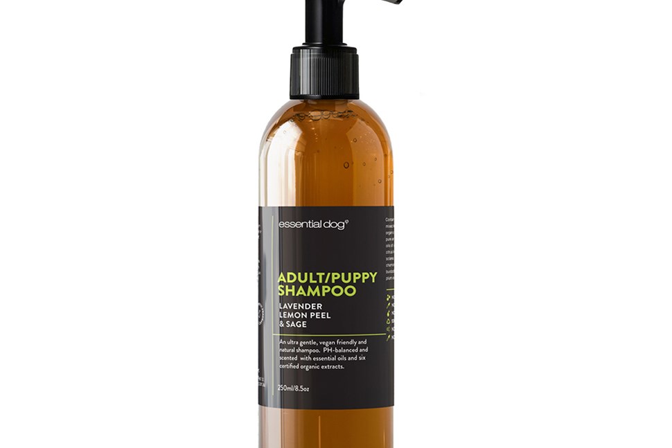 Essential Dog: Natural Adult/Puppy Shampoo (Lavender, Lemon Peel & Sage)