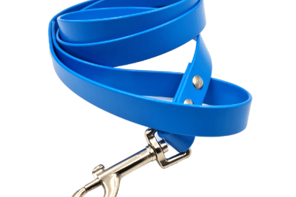 Weatherproof Strapping Dog Leads (Biothane)