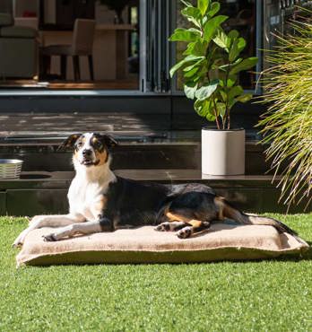 Hessian Dog Mat Image