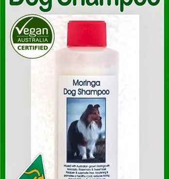 Moringa Dog/Animal Shampoo Image