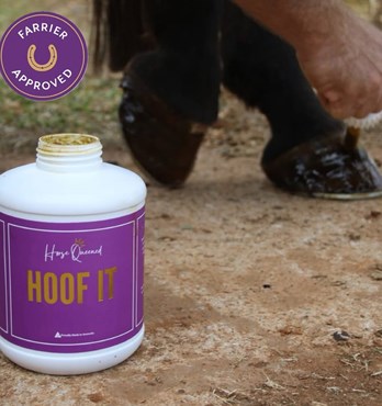 Horse Queened Hoof It- For hooves that deserve better than old-school goo. Image