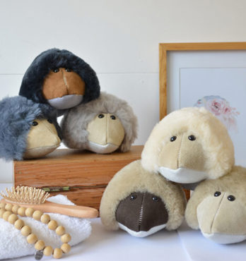 Tambo Teddy Echidnas Image