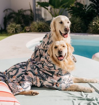 Dog Poncho Towels Image