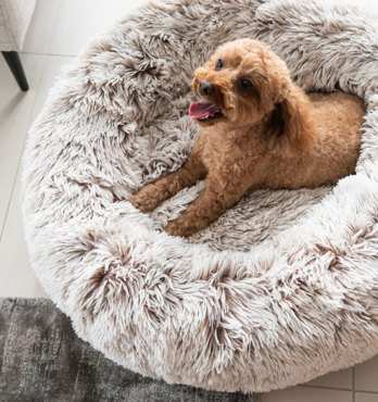 Curl Up Cloud Calming Dog Bed Image