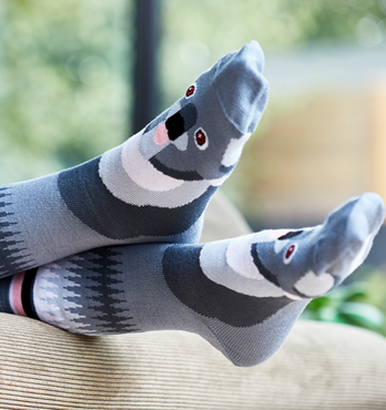 Aussie Socks Image