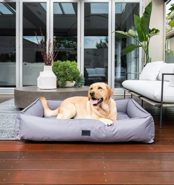 Dog Lounger  Image