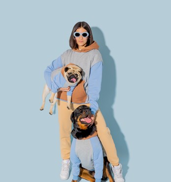 Matching Dog + Owner Jumpers Image