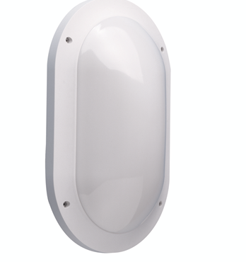 Ovale Wall and Ceiling Light Image