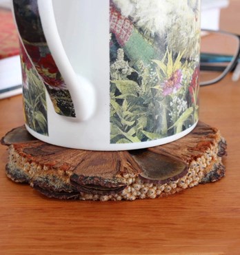 Banksia-nut Coasters Image
