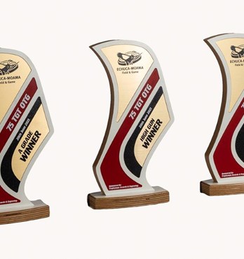 Custom made awards and trophies Image