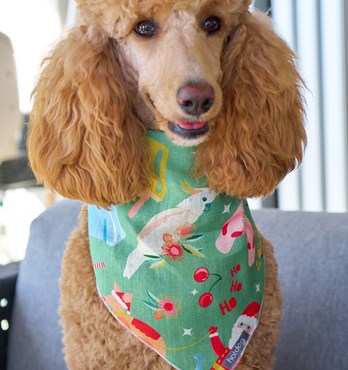 Dog Bandanas Image