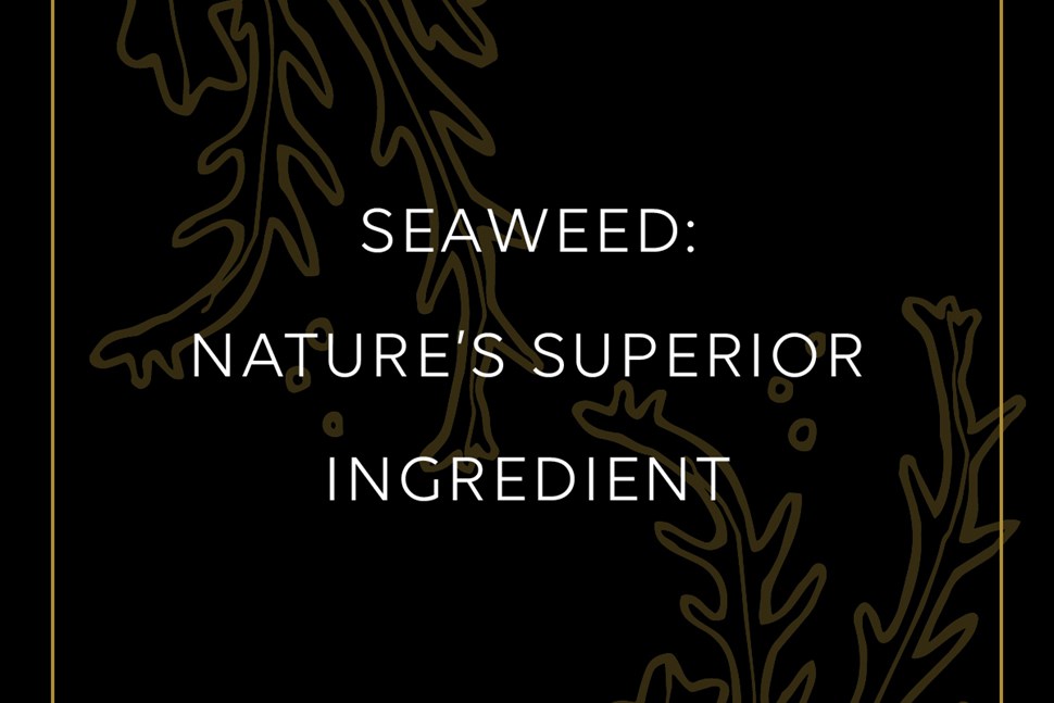 Seaweed Skincare Range