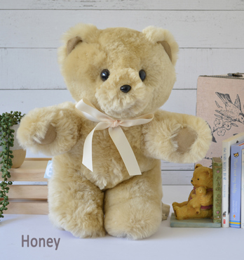 Tambo Teddies Logo Bear Image