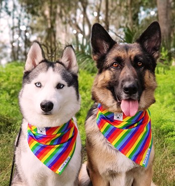 Byron & Co Bandanas Image