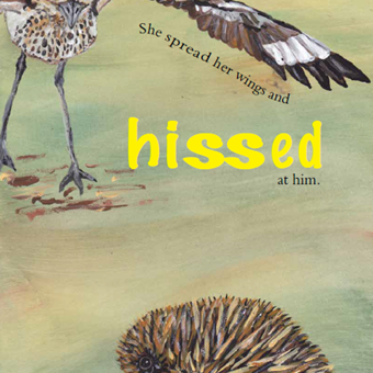 Children's Book  - Squeak and Squawk (curlew)