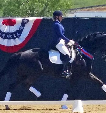 Hi Form Range of Equine and Small animal supplements and Feeds Image