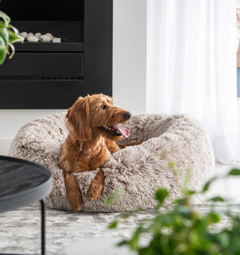 Curl Up Cloud Calming Dog Bed Image