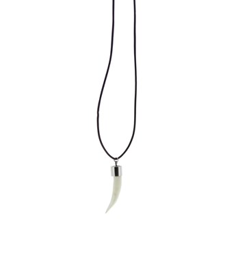 Crocodile Tooth Necklace Image