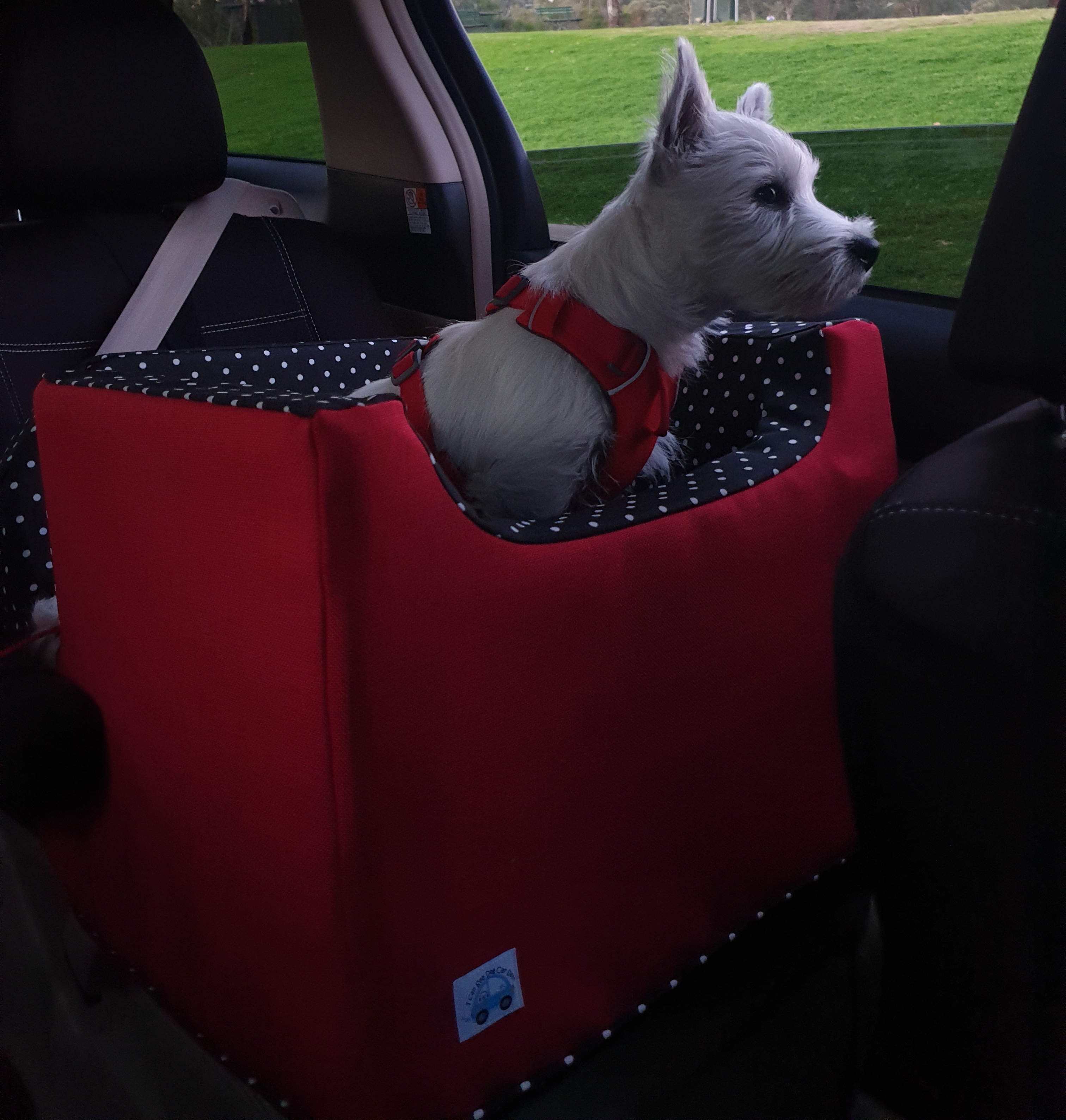 Car seat 2024 for dogs australia