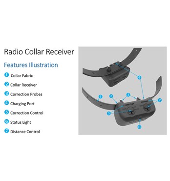 Rechargeable Radio Collar for Wireless Dog Electric Fence Image