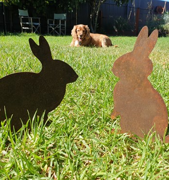 Bunny Rabbit Garden Stakes - Australian Made Rusted Metal Garden Art Image