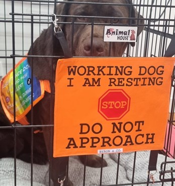 Byron & Co Crate Sign Image