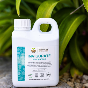 Invigorate