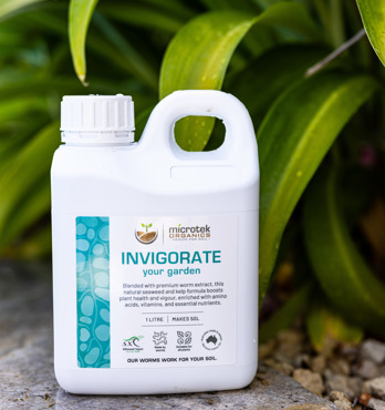 Invigorate Image
