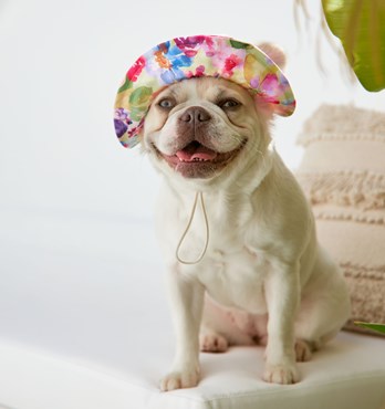 Dog Bucket Hats Image