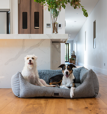 High Side Hideout Ortho Dog Bed Image