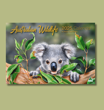 Australian Wildlife 2025 Wall Calendar Image