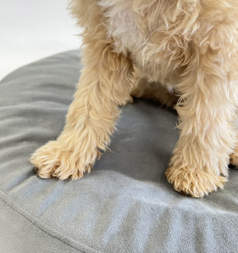 Baxii Pet Bed Image