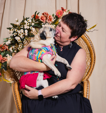 Pugs n Stripes Pink Dress Image