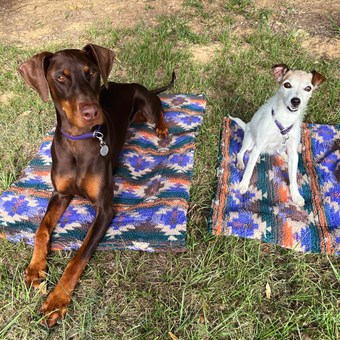 Byron & Co Dog Place Training Mats