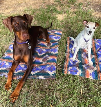 Byron & Co Dog Place Training Mats Image