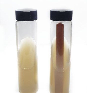 Slants- Replacement for agar petri-dish Image