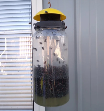 EnviroSafe Jumbo Fly Trap Image
