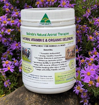 Belinda's Organic Selenium & Vitamin E Supplement Image