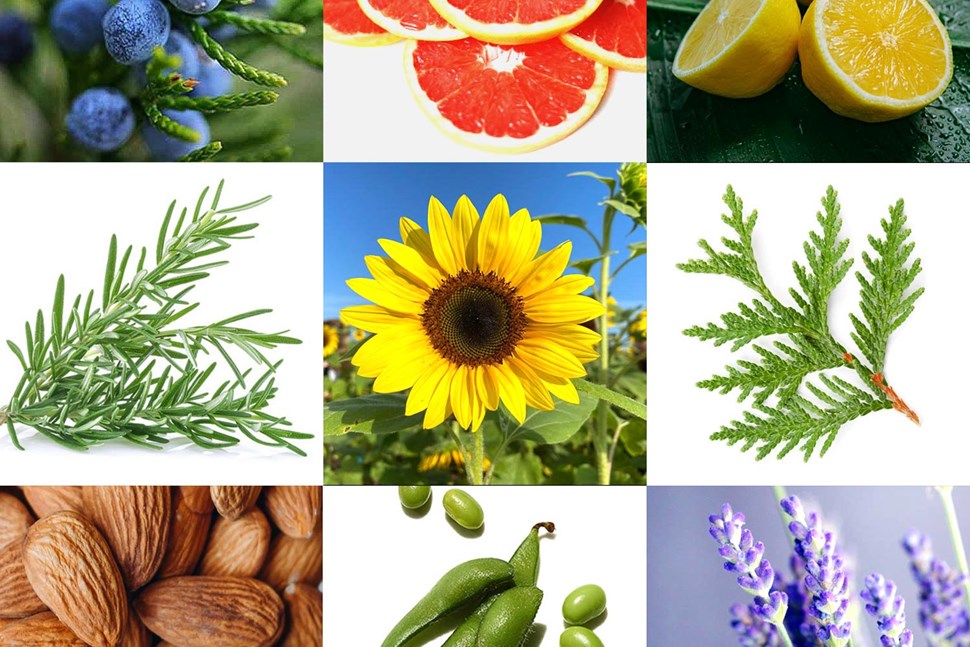 Tension Release Massage Oil