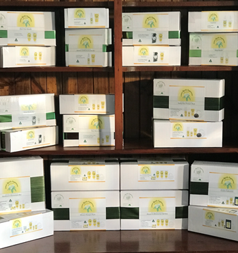 Lemon Myrtle Fragrances Pamper Selection Gift Boxes Image