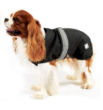 Dog Coats Image