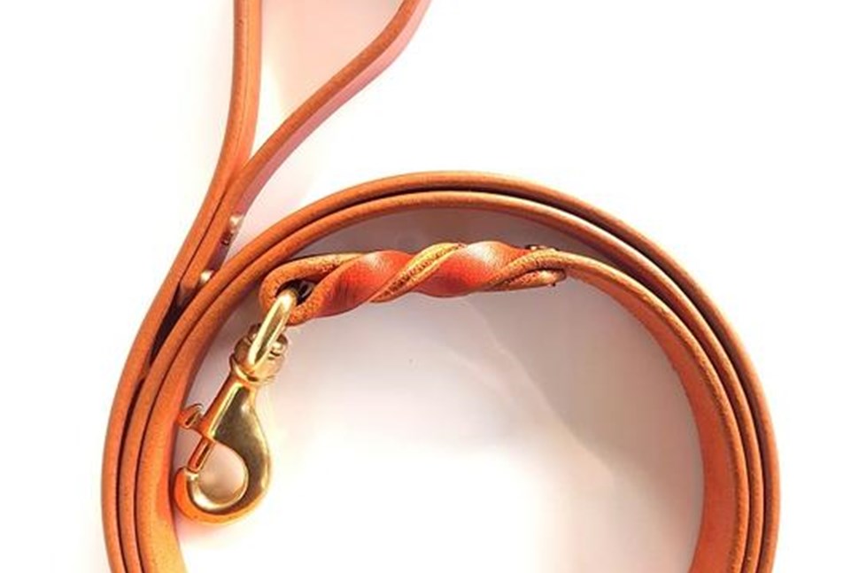 Leather Dog Leads